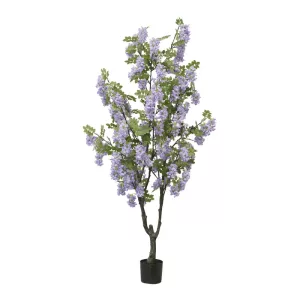 ΔΕΝΤΡΟ ΛΙΛΑ ΠΑΣΧΑΛΙΑ ΣΕ ΓΛΑΣΤΡΑ Υ190cm 2/ΚΙΒΔΕΝΤΡΟ ΛΙΛΑ ΠΑΣΧΑΛΙΑ ΣΕ ΓΛΑΣΤΡΑ Υ190cm 2/ΚΙΒ
