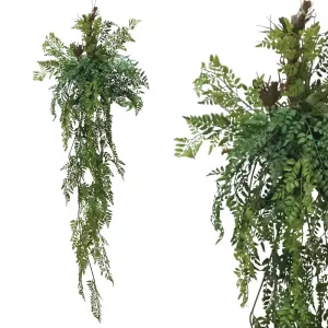 ΡΙΖΑ ΚΡΕΜΑΣΤΗ ΦΤΕΡΗ ΣΕ ΚΟΡΜΟ ΜΕ ΒΡΥΑ - Υ165cm 8/KIBΡΙΖΑ ΚΡΕΜΑΣΤΗ ΦΤΕΡΗ ΣΕ ΚΟΡΜΟ ΜΕ ΒΡΥΑ - Υ165cm 8/KIB