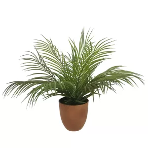 ΦΥΤΟ MINI ΚΕΝΤΙΑ ΠΡΑΣΙΝΟ REAL TOUCH ΣΕ ΚΑΣΠΩ - Y40cm 8/KIBΦΥΤΟ MINI ΚΕΝΤΙΑ ΠΡΑΣΙΝΟ REAL TOUCH ΣΕ ΚΑΣΠΩ - Y40cm 8/KIB