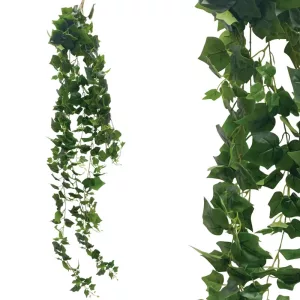 ΡΙΖΑ ΚΡΕΜΑΣΤΗ ΚΙΣΣΟΣ ΠΡΑΣΙΝΟΣ - Υ200cm 36/KΙΒΡΙΖΑ ΚΡΕΜΑΣΤΗ ΚΙΣΣΟΣ ΠΡΑΣΙΝΟΣ - Υ200cm 36/KΙΒ