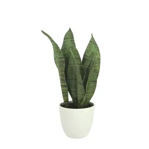 ΦΥΤΟ ΣΑΝΣEΒIΕΡΙΑ ΠΡΑΣΙΝΟ REAL TOUCH ΣΕ ΚΑΣΠΩ - Υ41cm 2/12KΙΒΦΥΤΟ ΣΑΝΣEΒIΕΡΙΑ ΠΡΑΣΙΝΟ REAL TOUCH ΣΕ ΚΑΣΠΩ - Υ41cm 2/12KΙΒ