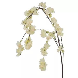 ΚΛΑΔΙ ΡΟΔΑΚΙΝΙΑΣ ΣΑΜΠΑΝΙ ΚΡΕΜΑΣΤΟ - Υ94/130cm 600/KIBΚΛΑΔΙ ΡΟΔΑΚΙΝΙΑΣ ΣΑΜΠΑΝΙ ΚΡΕΜΑΣΤΟ - Υ94/130cm 600/KIB