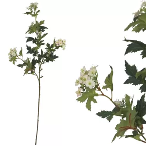 ΚΛΑΔΙ ΠΡΑΣΙΝΟ ΜΕ ΑΝΘΑΚΙΑ ΕΚΡΟΥ/ΡΟΖ - Υ76cm 24/288ΚΙΒΚΛΑΔΙ ΠΡΑΣΙΝΟ ΜΕ ΑΝΘΑΚΙΑ ΕΚΡΟΥ/ΡΟΖ - Υ76cm 24/288ΚΙΒ