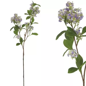 ΚΛΑΔΙ ΟΣΜΑΝΘΟΣ ΜΩΒ - Υ80cm 24/240ΚΙΒΚΛΑΔΙ ΟΣΜΑΝΘΟΣ ΜΩΒ - Υ80cm 24/240ΚΙΒ
