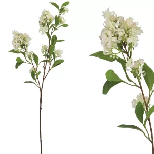 ΚΛΑΔΙ ΟΣΜΑΝΘΟΣ ΡΟΖ - Υ80cm 24/240ΚΙΒΚΛΑΔΙ ΟΣΜΑΝΘΟΣ ΡΟΖ - Υ80cm 24/240ΚΙΒ