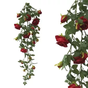 ΡΙΖΑ ΚΡΕΜΑΣΤΗ ΤΡΙΑΝΤΑΦΥΛΛΙΑ KOKKINO - Y120cm 19/192KIBΡΙΖΑ ΚΡΕΜΑΣΤΗ ΤΡΙΑΝΤΑΦΥΛΛΙΑ KOKKINO - Y120cm 19/192KIB