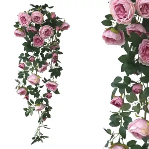 ΡΙΖΑ ΚΡΕΜΑΣΤΗ ΡΟΖ ΝΕΡΑΓΚΟΥΛΕΣ - Υ100cm 24/120ΚΙΒΡΙΖΑ ΚΡΕΜΑΣΤΗ ΡΟΖ ΝΕΡΑΓΚΟΥΛΕΣ - Υ100cm 24/120ΚΙΒ