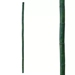 ΦΥΣΙΚΟ ΚΑΛΑΜΙ ΜΠΑΜΠΟΥ ΠΡΑΣΙΝΟ - Φ4/5x180cm 1/50KIBΦΥΣΙΚΟ ΚΑΛΑΜΙ ΜΠΑΜΠΟΥ ΠΡΑΣΙΝΟ - Φ4/5x180cm 1/50KIB