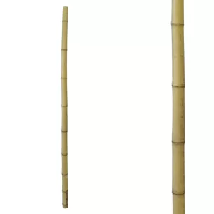 ΦΥΣΙΚΟ ΚΑΛΑΜΙ ΜΠΑΜΠΟΥ ΦΥΣΙΚΟ - Φ4/5x180cm 1/50KIBΦΥΣΙΚΟ ΚΑΛΑΜΙ ΜΠΑΜΠΟΥ ΦΥΣΙΚΟ - Φ4/5x180cm 1/50KIB