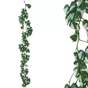 ΓΙΡΛΑΝΤΑ REAL TOUCH MONΣΤΕΡΑ ΔΙΧΡΩΜΟ ΠΡΑΣΙΝΟ - Υ170cm 50/100ΚΙΒΓΙΡΛΑΝΤΑ REAL TOUCH MONΣΤΕΡΑ ΔΙΧΡΩΜΟ ΠΡΑΣΙΝΟ - Υ170cm 50/100ΚΙΒ