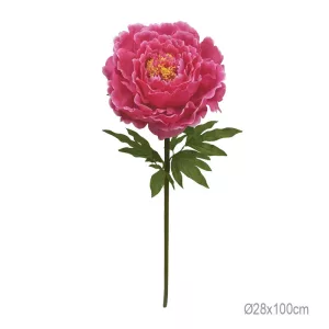 ΚΛΑΔΙ ΠΑΙΩΝΙΑ ΦΟΥΞ ΓΙΓΑΣ - Φ28x100cm 12/ΚΙΒΚΛΑΔΙ ΠΑΙΩΝΙΑ ΦΟΥΞ ΓΙΓΑΣ - Φ28x100cm 12/ΚΙΒ