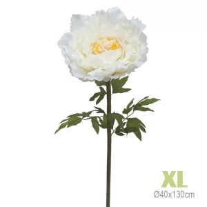 ΚΛΑΔΙ ΠΑΙΩΝΙΑ ΕΚΡΟΥ ΓΙΓΑΣ XL - Φ40x130cm 12/KIBΚΛΑΔΙ ΠΑΙΩΝΙΑ ΕΚΡΟΥ ΓΙΓΑΣ XL - Φ40x130cm 12/KIB