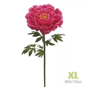 ΚΛΑΔΙ ΠΑΙΩΝΙΑ ΦΟΥΞ ΓΙΓΑΣ XL - Φ40x130cm 12/KIBΚΛΑΔΙ ΠΑΙΩΝΙΑ ΦΟΥΞ ΓΙΓΑΣ XL - Φ40x130cm 12/KIB