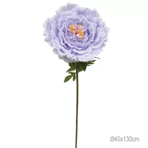 ΚΛΑΔΙ ΠΑΙΩΝΙΑ ΛΙΛΑ ΓΙΓΑΣ - Φ40x130cm 12/ΚΙΒΚΛΑΔΙ ΠΑΙΩΝΙΑ ΛΙΛΑ ΓΙΓΑΣ - Φ40x130cm 12/ΚΙΒ