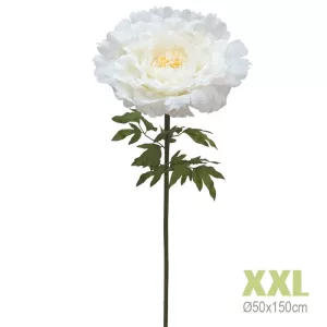 ΚΛΑΔΙ ΠΑΙΩΝΙΑ ΕΚΡΟΥ ΓΙΓΑΣ XXL - Φ50x150cm 8/KIBΚΛΑΔΙ ΠΑΙΩΝΙΑ ΕΚΡΟΥ ΓΙΓΑΣ XXL - Φ50x150cm 8/KIB