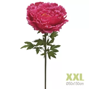 ΚΛΑΔΙ ΠΑΙΩΝΙΑ ΦΟΥΞ ΓΙΓΑΣ XXL - Φ50x150cm 8/KIBΚΛΑΔΙ ΠΑΙΩΝΙΑ ΦΟΥΞ ΓΙΓΑΣ XXL - Φ50x150cm 8/KIB