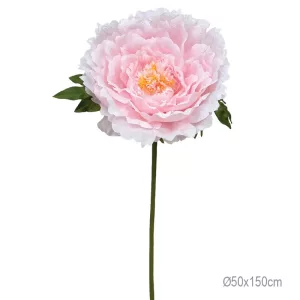 ΚΛΑΔΙ ΠΑΙΩΝΙΑ ΡΟΖ ΓΙΓΑΣ - Φ50x150cm 8/ΚΙΒΚΛΑΔΙ ΠΑΙΩΝΙΑ ΡΟΖ ΓΙΓΑΣ - Φ50x150cm 8/ΚΙΒ