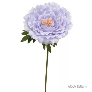 ΚΛΑΔΙ ΠΑΙΩΝΙΑ ΛΙΛΑ ΓΙΓΑΣ - Φ50x150cm 8/ΚΙΒΚΛΑΔΙ ΠΑΙΩΝΙΑ ΛΙΛΑ ΓΙΓΑΣ - Φ50x150cm 8/ΚΙΒ
