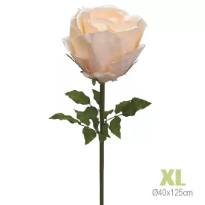ΚΛΑΔΙ ΤΡΙΑΝΤΑΦΥΛΛΟ ΣΟΜΟΝ ΓΙΓΑΣ XL - Φ40x125cm 6/KIBΚΛΑΔΙ ΤΡΙΑΝΤΑΦΥΛΛΟ ΣΟΜΟΝ ΓΙΓΑΣ XL - Φ40x125cm 6/KIB