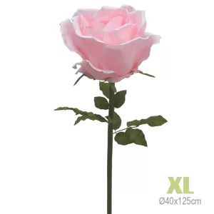 ΚΛΑΔΙ ΤΡΙΑΝΤΑΦΥΛΛΟ ΡΟΖ ΓΙΓΑΣ XL - Φ40x125cm 6/KIBΚΛΑΔΙ ΤΡΙΑΝΤΑΦΥΛΛΟ ΡΟΖ ΓΙΓΑΣ XL - Φ40x125cm 6/KIB