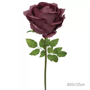 ΚΛΑΔΙ ΤΡΙΑΝΤΑΦΥΛΛΟ ΒΟΥΡΓΟΥΝΔΙ  ΓΙΓΑΣ - Φ40x125cm 6/ΚΙΒΚΛΑΔΙ ΤΡΙΑΝΤΑΦΥΛΛΟ ΒΟΥΡΓΟΥΝΔΙ  ΓΙΓΑΣ - Φ40x125cm 6/ΚΙΒ