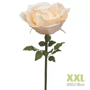 ΚΛΑΔΙ ΤΡΙΑΝΤΑΦΥΛΛΟ ΣΟΜΟΝ ΓΙΓΑΣ XXL - Φ50x136cm 6/KIBΚΛΑΔΙ ΤΡΙΑΝΤΑΦΥΛΛΟ ΣΟΜΟΝ ΓΙΓΑΣ XXL - Φ50x136cm 6/KIB