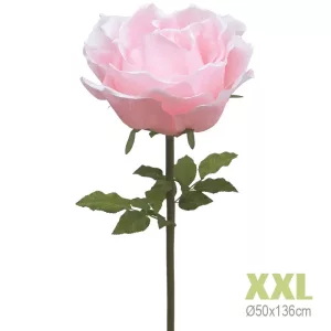 ΚΛΑΔΙ ΤΡΙΑΝΤΑΦΥΛΛΟ ΡΟΖ ΓΙΓΑΣ XXL - Φ50x136cm 6/KIBΚΛΑΔΙ ΤΡΙΑΝΤΑΦΥΛΛΟ ΡΟΖ ΓΙΓΑΣ XXL - Φ50x136cm 6/KIB