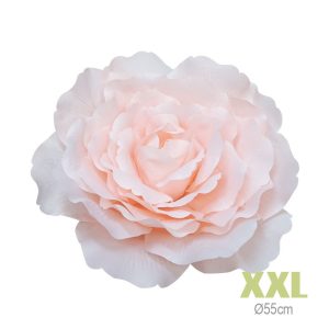 ΚΡΕΜΑΣΤΟ ΑΝΘΟΣ ΤΡΙΑΝΤΑΦΥΛΛΟ ΣΟΜΟΝ ΓΙΓΑΣ XXL - Φ55cm 6/ΚΙΒΚΡΕΜΑΣΤΟ ΑΝΘΟΣ ΤΡΙΑΝΤΑΦΥΛΛΟ ΣΟΜΟΝ ΓΙΓΑΣ XXL - Φ55cm 6/ΚΙΒ