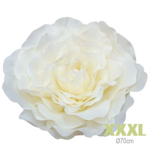 ΚΡΕΜΑΣΤΟ ΑΝΘΟΣ ΤΡΙΑΝΤΑΦΥΛΛΟ ΕΚΡΟΥ ΓΙΓΑΣ XXXL - Φ70cm 6/ΚΙΒΚΡΕΜΑΣΤΟ ΑΝΘΟΣ ΤΡΙΑΝΤΑΦΥΛΛΟ ΕΚΡΟΥ ΓΙΓΑΣ XXXL - Φ70cm 6/ΚΙΒ
