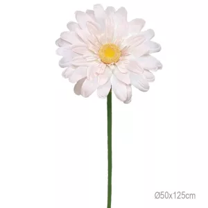 ΚΛΑΔΙ ΜΑΡΓΑΡΙΤΑ ΣΟΜΟΝ ΓΙΓΑΣ - Φ50x125cm 24/ΚΙΒΚΛΑΔΙ ΜΑΡΓΑΡΙΤΑ ΣΟΜΟΝ ΓΙΓΑΣ - Φ50x125cm 24/ΚΙΒ