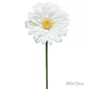 ΚΛΑΔΙ ΜΑΡΓΑΡΙΤΑ ΕΚΡΟΥ ΓΙΓΑΣ - Φ50x125cm 24/ΚΙΒΚΛΑΔΙ ΜΑΡΓΑΡΙΤΑ ΕΚΡΟΥ ΓΙΓΑΣ - Φ50x125cm 24/ΚΙΒ