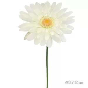 ΚΛΑΔΙ ΜΑΡΓΑΡΙΤΑ ΚΙΤΡΙΝΟ ΓΙΓΑΣ - Φ65x150cm 12/ΚΙΒΚΛΑΔΙ ΜΑΡΓΑΡΙΤΑ ΚΙΤΡΙΝΟ ΓΙΓΑΣ - Φ65x150cm 12/ΚΙΒ