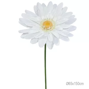 ΚΛΑΔΙ ΜΑΡΓΑΡΙΤΑ ΕΚΡΟΥ ΓΙΓΑΣ - Φ65x150cm 12/ΚΙΒΚΛΑΔΙ ΜΑΡΓΑΡΙΤΑ ΕΚΡΟΥ ΓΙΓΑΣ - Φ65x150cm 12/ΚΙΒ