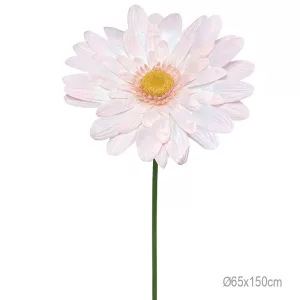 ΚΛΑΔΙ ΜΑΡΓΑΡΙΤΑ ΣΟΜΟΝ ΓΙΓΑΣ XXL - 65x65x150cm 12/ΚΙΒΚΛΑΔΙ ΜΑΡΓΑΡΙΤΑ ΣΟΜΟΝ ΓΙΓΑΣ XXL - 65x65x150cm 12/ΚΙΒ