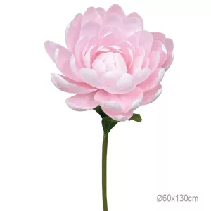 ΚΛΑΔΙ ΝΟΥΦΑΡΟ ΡΟΖ ΓΙΓΑΣ - Φ60x130cm 6/ΚΙΒΚΛΑΔΙ ΝΟΥΦΑΡΟ ΡΟΖ ΓΙΓΑΣ - Φ60x130cm 6/ΚΙΒ