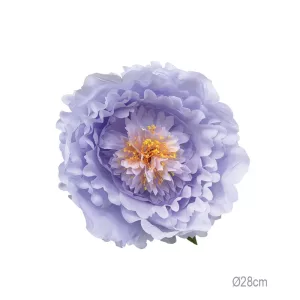 ΚΡΕΜΑΣΤΟ ΑΝΘΟΣ ΠΑΙΩΝΙΑ ΛΙΛΑ ΓΙΓΑΣ - Φ28cm 12/ΚΙΒΚΡΕΜΑΣΤΟ ΑΝΘΟΣ ΠΑΙΩΝΙΑ ΛΙΛΑ ΓΙΓΑΣ - Φ28cm 12/ΚΙΒ