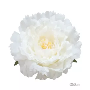 ΚΡΕΜΑΣΤΟ ΑΝΘΟΣ ΠΑΙΩΝΙΑ ΛΕΥΚΟ ΓΙΓΑΣ - Φ50cm 6/ΚΙΒΚΡΕΜΑΣΤΟ ΑΝΘΟΣ ΠΑΙΩΝΙΑ ΛΕΥΚΟ ΓΙΓΑΣ - Φ50cm 6/ΚΙΒ