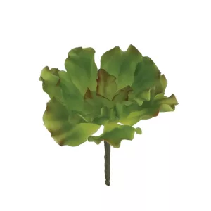 ΡΙΖΑ ΠΑΧΥΦΥΤΟ ΜΑΡΟΥΛΙ ΧΩΝΕΥΤΟ ΠΡΑΣΙΝΟ - Y18cm 24/288ΚIBΡΙΖΑ ΠΑΧΥΦΥΤΟ ΜΑΡΟΥΛΙ ΧΩΝΕΥΤΟ ΠΡΑΣΙΝΟ - Y18cm 24/288ΚIB