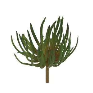 ΡΙΖΑ ΠΑΧΥΦΥΤΟ ΧΩΝΕΥΤΟ ΠΡΑΣΙΝΟ/KOKKINO - Y21cm 24/240ΚIBΡΙΖΑ ΠΑΧΥΦΥΤΟ ΧΩΝΕΥΤΟ ΠΡΑΣΙΝΟ/KOKKINO - Y21cm 24/240ΚIB