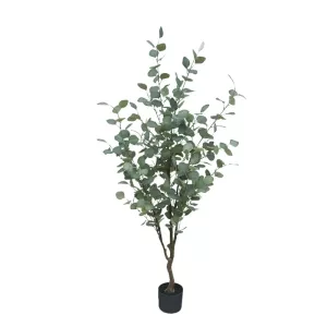 ΔΕΝΤΡΟ ΕΥΚΑΛΥΠΤΟΣ ΠΡΑΣΙΝΟ ΣΕ ΚΑΣΠΩ - Y150cm 1/4ΚIBΔΕΝΤΡΟ ΕΥΚΑΛΥΠΤΟΣ ΠΡΑΣΙΝΟ ΣΕ ΚΑΣΠΩ - Y150cm 1/4ΚIB