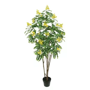 ΔΕΝΤΡΟ ΚΑΣΣΙΑ ΚΙΤΡΙΝΟ REAL TOUCH ΣΕ ΚΑΣΠΩ - Υ180cm 1/2ΚΙΒΔΕΝΤΡΟ ΚΑΣΣΙΑ ΚΙΤΡΙΝΟ REAL TOUCH ΣΕ ΚΑΣΠΩ - Υ180cm 1/2ΚΙΒ