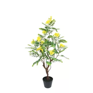 ΔΕΝΤΡΟ ΚΑΣΣΙΑ ΚΙΤΡΙΝΟ REAL TOUCH ΣΕ ΚΑΣΠΩ - Υ90cm 1/4ΚΙΒΔΕΝΤΡΟ ΚΑΣΣΙΑ ΚΙΤΡΙΝΟ REAL TOUCH ΣΕ ΚΑΣΠΩ - Υ90cm 1/4ΚΙΒ