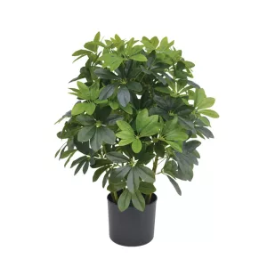 ΔΕΝΤΡΟ ΣΕΦΛΙΕΡΑ ΠΡΑΣΙΝΟ REAL TOUCH ΣΕ ΚΑΣΠΩ - Υ70cm 1/2ΚΙΒΔΕΝΤΡΟ ΣΕΦΛΙΕΡΑ ΠΡΑΣΙΝΟ REAL TOUCH ΣΕ ΚΑΣΠΩ - Υ70cm 1/2ΚΙΒ