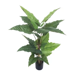 ΔΕΝΤΡΟ ΑΛΟΚΑΣΙΑ ΠΡΑΣΙΝΟ REAL TOUCH ΣΕ ΚΑΣΠΩ - Υ150cm 1/4ΚΙΒΔΕΝΤΡΟ ΑΛΟΚΑΣΙΑ ΠΡΑΣΙΝΟ REAL TOUCH ΣΕ ΚΑΣΠΩ - Υ150cm 1/4ΚΙΒ
