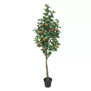 ΔΕΝΤΡΟ ΠΟΡΤΟΚΑΛΙΑ REAL TOUCH ΣΕ ΚΑΣΠΩ - Υ180cm 1/2ΚΙΒΔΕΝΤΡΟ ΠΟΡΤΟΚΑΛΙΑ REAL TOUCH ΣΕ ΚΑΣΠΩ - Υ180cm 1/2ΚΙΒ
