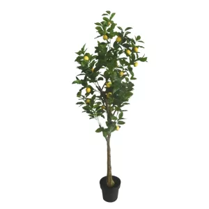 ΔΕΝΤΡΟ ΛΕΜΟΝΙΑ REAL TOUCH ΣΕ ΚΑΣΠΩ - Υ180cm 1/2ΚΙΒΔΕΝΤΡΟ ΛΕΜΟΝΙΑ REAL TOUCH ΣΕ ΚΑΣΠΩ - Υ180cm 1/2ΚΙΒ