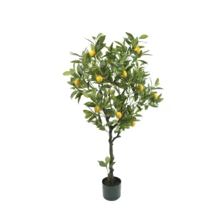 ΔΕΝΤΡΟ ΛΕΜΟΝΙΑ REAL TOUCH ΣΕ ΚΑΣΠΩ - Υ125cm 1/2ΚΙΒΔΕΝΤΡΟ ΛΕΜΟΝΙΑ REAL TOUCH ΣΕ ΚΑΣΠΩ - Υ125cm 1/2ΚΙΒ