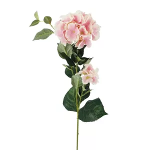 ΚΛΑΔΙ ΡΟΖ  ΟΡΤΑΝΣΙΑ Χ2 Y94cm ΔΙΑΜ20-10cm 24/120KIBΚΛΑΔΙ ΡΟΖ  ΟΡΤΑΝΣΙΑ Χ2 Y94cm ΔΙΑΜ20-10cm 24/120KIB