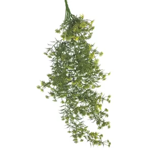ΡΙΖΑ ΚΡΕΜΑΣΤΗ ME ΑΝΘΑΚΙA ΚΙΤΡΙΝΟ - 36/108ΚΙΒΡΙΖΑ ΚΡΕΜΑΣΤΗ ME ΑΝΘΑΚΙA ΚΙΤΡΙΝΟ - 36/108ΚΙΒ