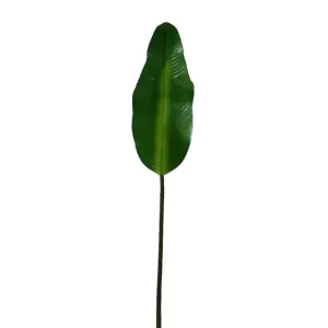 ΚΛΑΔΙ ΦΥΛΛΟ ΠΑΛΜΑ ΠΡΑΣΙΝΟ Y98cm. 72/432ΚΙΒΚΛΑΔΙ ΦΥΛΛΟ ΠΑΛΜΑ ΠΡΑΣΙΝΟ Y98cm. 72/432ΚΙΒ